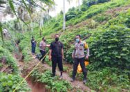Kasat Reskrim Polres Touna, Iptu Muhammad Kasim, SH bersama Kapolsek Ampana Tete, Iptu Murlan Tarifuddin, Tim Identifikasi, Piket Satreskrim, Piket SPKT dan Personil Polsek Ampana Tete melakukan Tindakan Pertama di Tempat Kejadian Perkara (TP-TKP) dengan melakukan evakuasi korban.