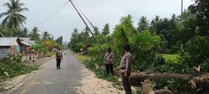 Sigap, Personil Polsek Ampana Tete Bantu Evakuasi Pohon Tumbang