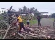 Bhabinkamtibmas Polsek Ampana Kota Bersama Warga Gotong Royong Bersihkan Pohon Tumbang